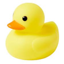 Programming Rubber Duck